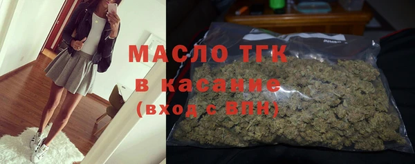 гашик Бородино