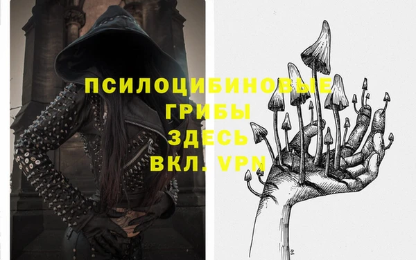 гашик Бородино