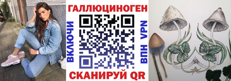 купить закладку  Новоржев  Псилоцибиновые грибы MAGIC MUSHROOMS 